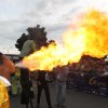 Comparsas Feria para Todos